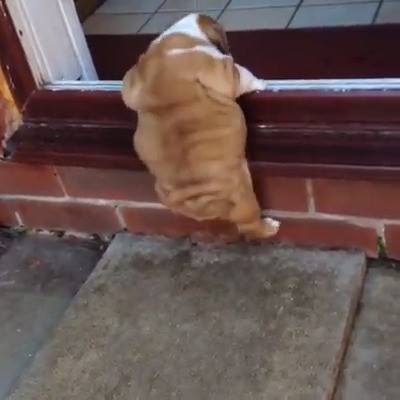 Trying to make it through the day like.. 😂😂